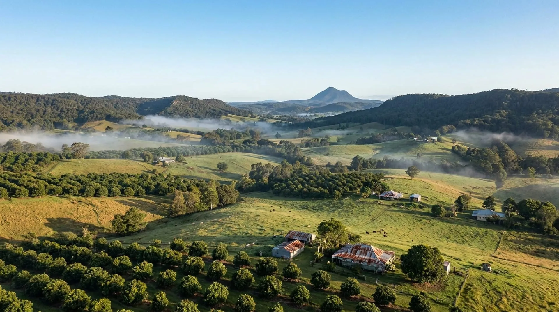 Green hinterland farmland and scattered homes below a forested ridgeline