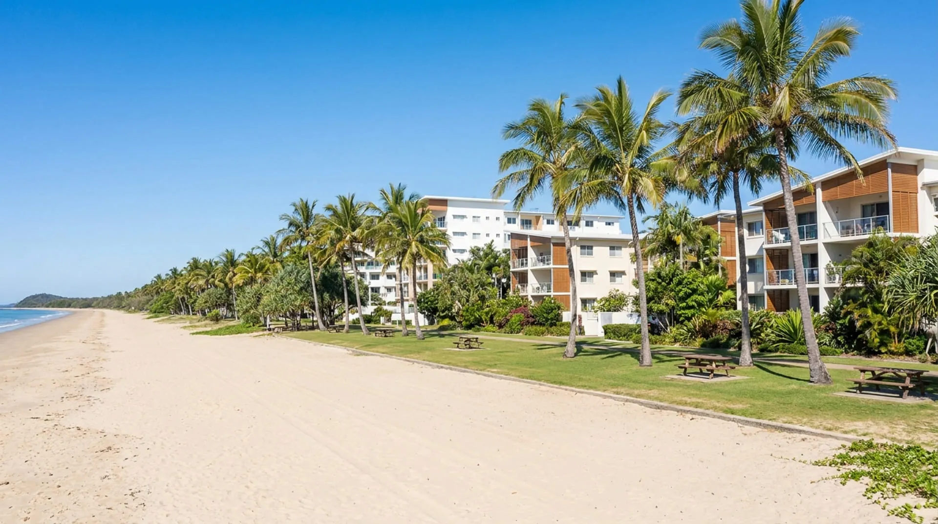 A long straight beach beside a narrow foreshore park of tall palms