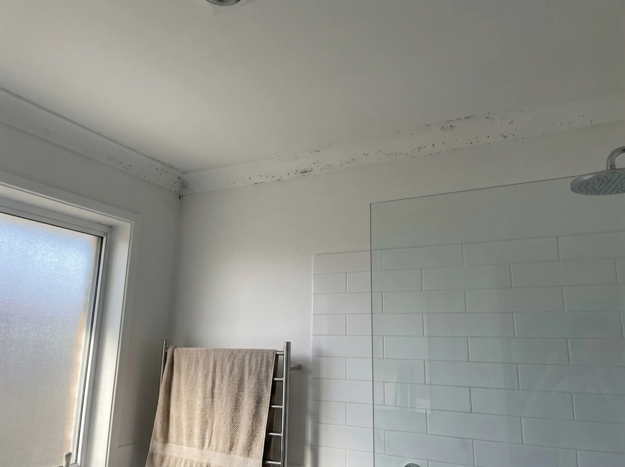 Dark spotting along the cornice line of a clean bathroom ceiling above a shower