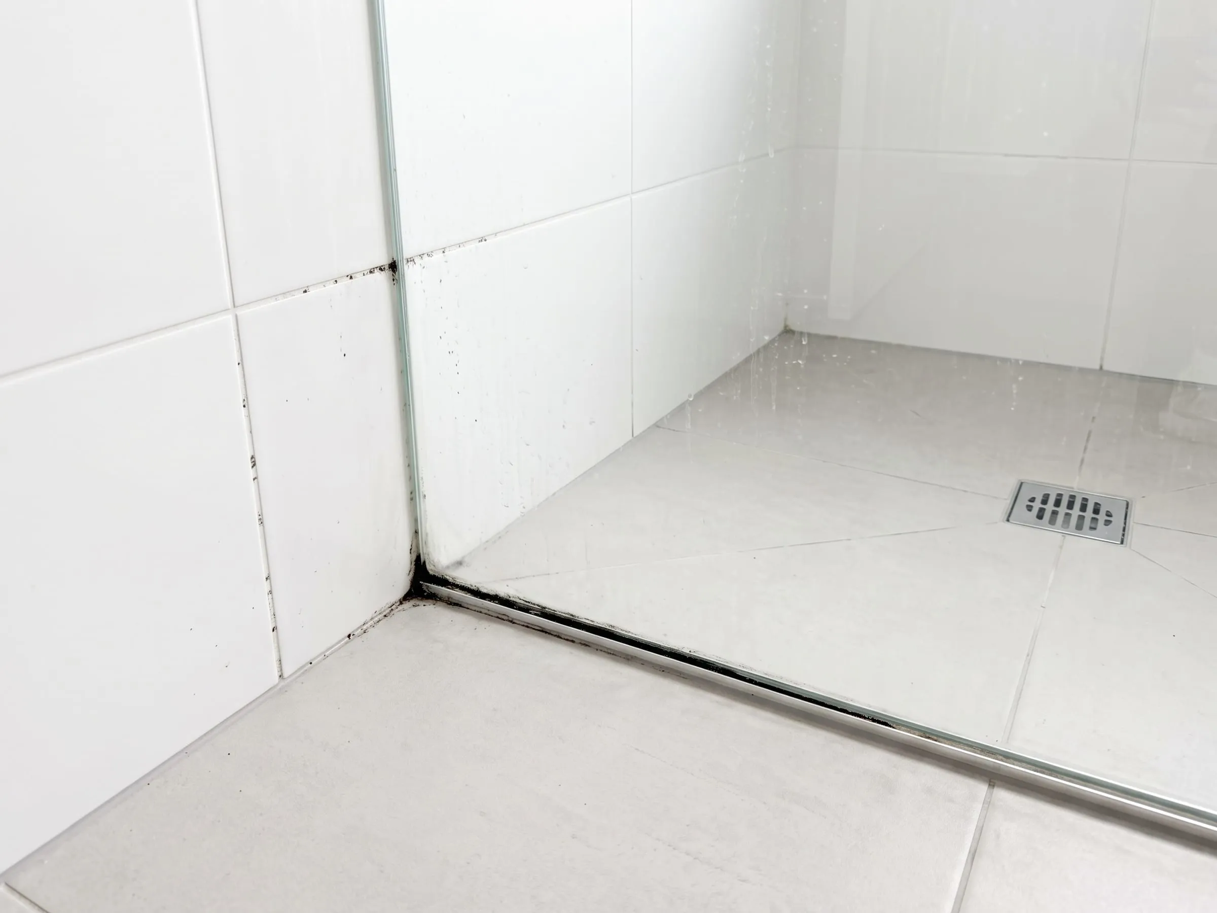Illustration: the corner of a tiled shower, mould dotted through the grout and a black line along the seal at the base of the glass screen