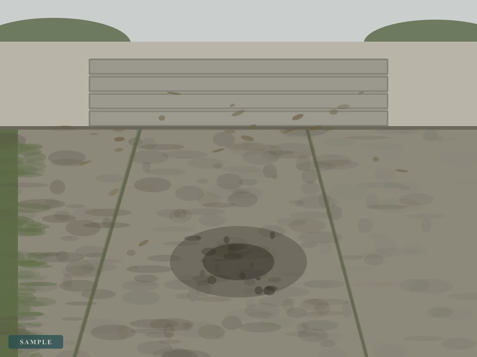 Sample illustration: a concrete driveway greyed with grime, algae down the shaded edge and an oil patch in the middle