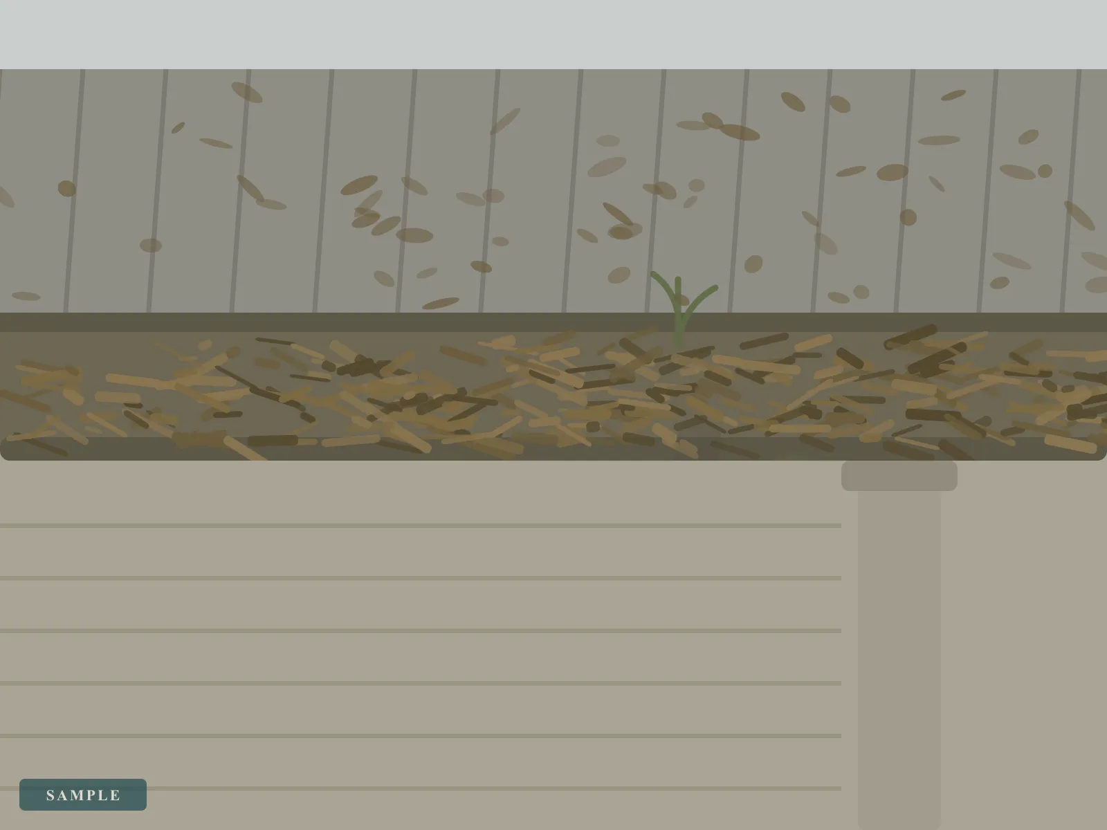 Sample illustration: a gutter packed with leaf litter, with a seedling growing out of it and overflow staining the wall below