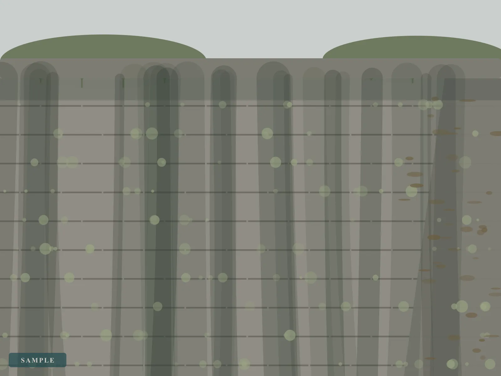Sample illustration: a tiled roof streaked with black algae and blotched with pale lichen